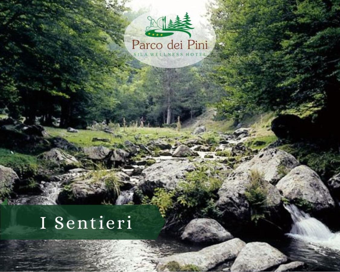 Parco Dei Pini - Sila Wellness Hotel Таверна Экстерьер фото